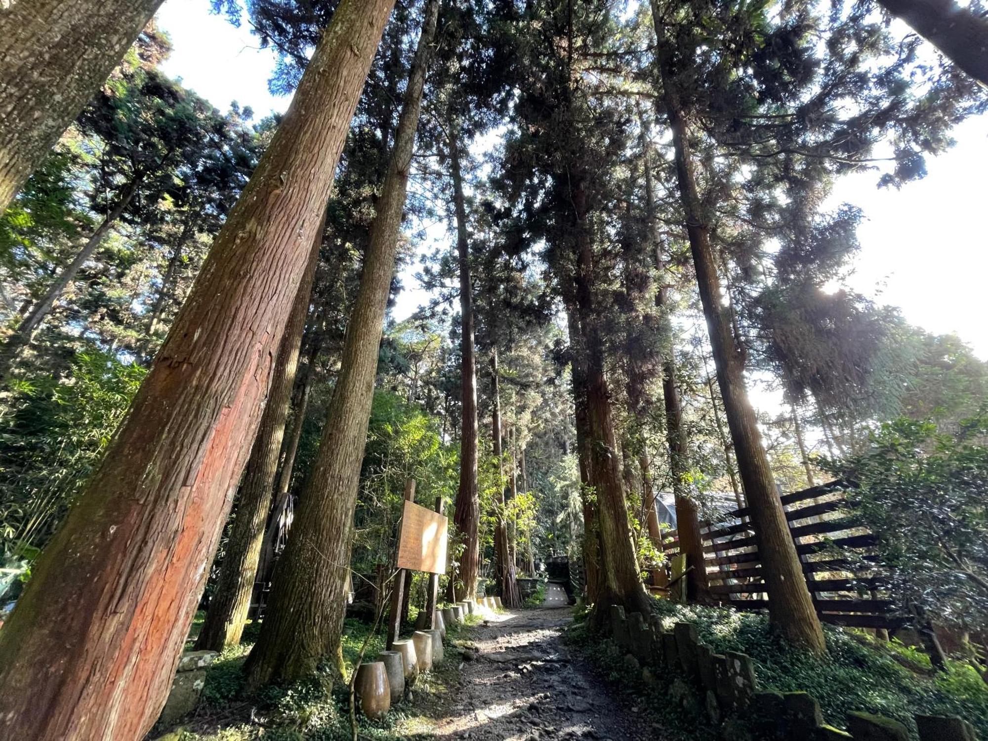 Ginkgo Hotel Lugu Luaran gambar