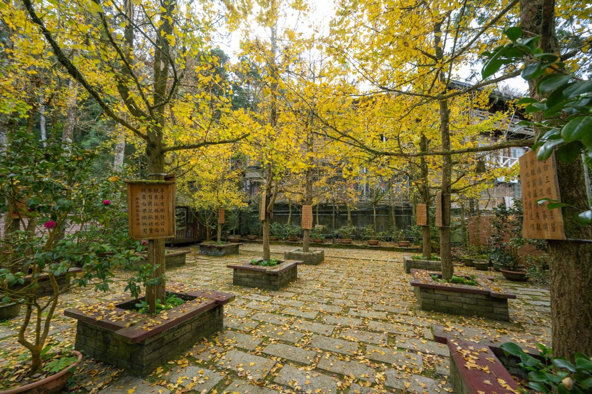 Ginkgo Hotel Lugu Luaran gambar