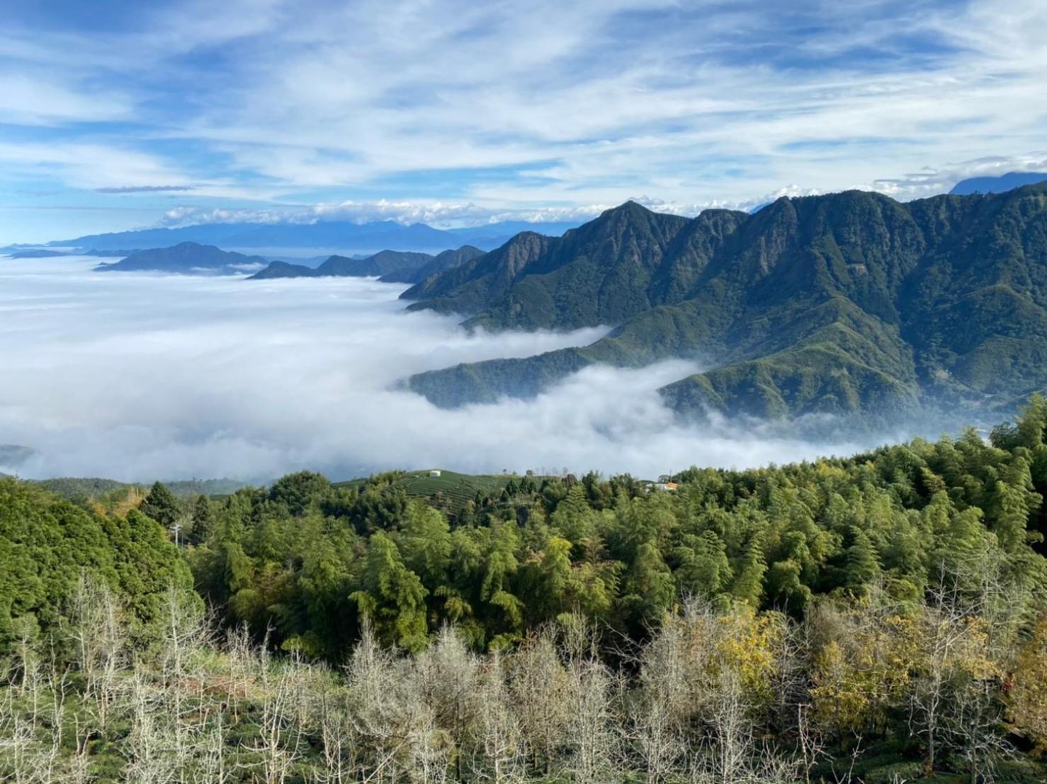 Ginkgo Hotel Lugu Luaran gambar