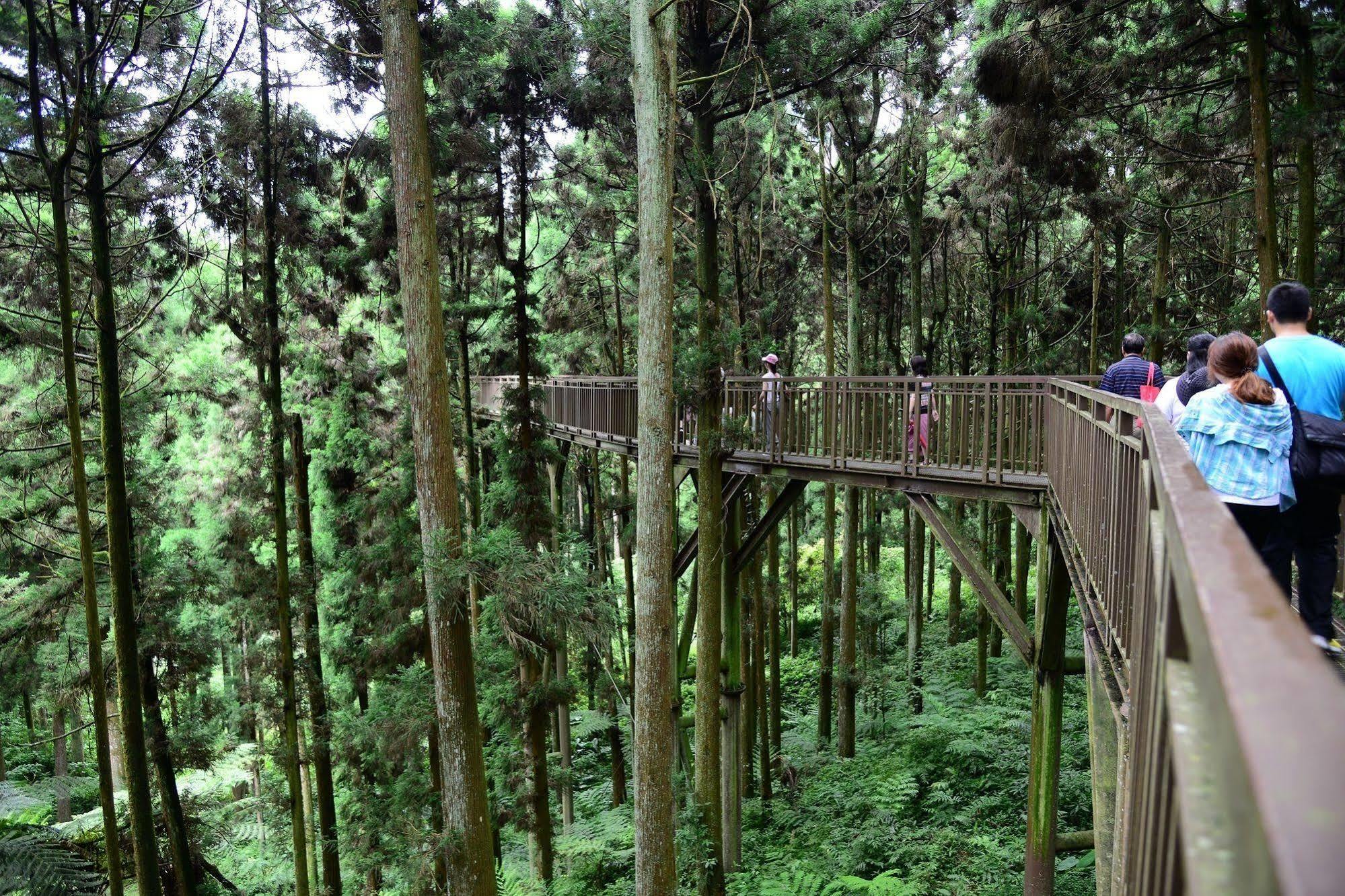 Ginkgo Hotel Lugu Luaran gambar